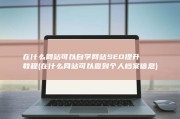 在什么网站可以自学网站SEO提升教程 (在什么网站可以查到个人档案信息)