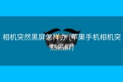相机突然黑屏怎样办 (苹果手机相机突然黑屏)