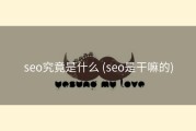 seo究竟是什么 (seo是干嘛的)