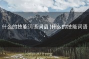 什么的技能词语词语 (什么的技能词语)