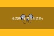 全流程 (全流程全链条)