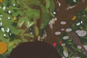 橘子不是惟一的水果读后感 (橘子不是惟一的果实)