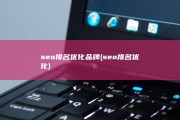 seo排名优化品牌 (seo排名优化)