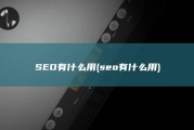SEO有什么用 (seo有什么用)