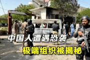 揭开神秘面纱 探索品牌SEOb 发现品牌背后的故事 (揭开神秘面纱的类似表达)