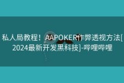 私人局教程！AAPOKER作弊透视方法[2024最新开发黑科技]-哔哩哔哩