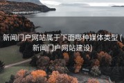 新闻门户网站属于下面哪种媒体类型 (新闻门户网站建设)