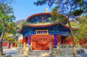 北京有那些大型的蔬菜批发市场 (北京有那些大学排名有哪些)