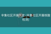 辛集社区开展简史 (辛集社区开展核酸检测)