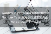 WordPress 独立站卖家如何使用插件Noindex Tags 避免低质量重复页面 (wordpress是干什么的)