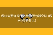 做SEO要选择什么样的服务器空间 (做seo需要什么)