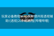 玩家必备教程!wepoekr德州局透视辅助!(透视)2024版教程(哔哩哔哩)