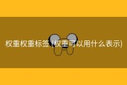 权重权重标签 (权重可以用什么表示)