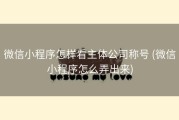 微信小程序怎样看主体公司称号 (微信小程序怎么弄出来)