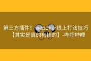 第三方插件！wepoker线上打法技巧【其实是真的有挂的】-哔哩哔哩
