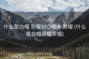 什么是白帽 灰帽SEO技术 黑帽 (什么是白帽黑帽灰帽)