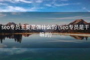 seo专员主要是做什么的 (seo专员是干嘛的)