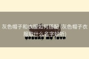 灰色帽子和衣服如何搭配 (灰色帽子衣服取什么名字好听)