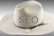 新手做seo怎样做 (新手做seo怎么做)