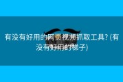 有没有好用的网页视频抓取工具? (有没有好用的梯子)