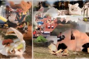 淘宝卖家必看！如何让产品在站内搜索排名靠前？