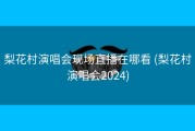 梨花村演唱会现场直播在哪看 (梨花村演唱会2024)