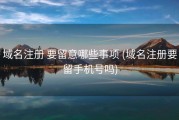 域名注册 要留意哪些事项 (域名注册要留手机号吗)