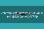 Zoho如何成为谷歌在线运行商店最大软件提供商 (zoho如何下载)