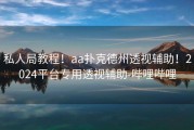 私人局教程！aa扑克德州透视辅助！2024平台专用透视辅助-哔哩哔哩