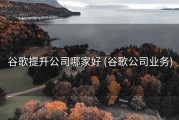 谷歌提升公司哪家好 (谷歌公司业务)