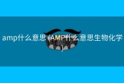 amp什么意思 (AMP什么意思生物化学)
