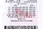 大乐透棕色号码是什么意思 (大乐透棕色号走势图)