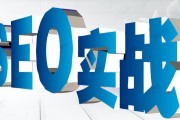 求seo服务外包的引见. (seo service)