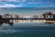 2024新版！wepokerplus辅助【其实是真的有挂的】-哔哩哔哩