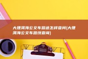 大理洱海公交车路途怎样查问 (大理洱海公交车路线查询)