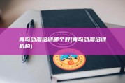 青岛动漫培训哪个好 (青岛动漫培训机构)