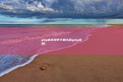php成功文件下载代码 (php成品)