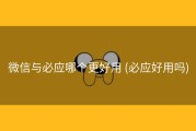 微信与必应哪个更好用 (必应好用吗)