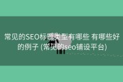 常见的SEO标题类型有哪些 有哪些好的例子 (常见的seo铺设平台)
