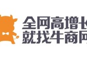 企业转型互联网的成功案例：仰劲松与牛商网的合作之路