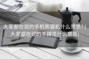 大家都在说的手机熊猫机什么意思? (大家都在说的羊排是什么意思)