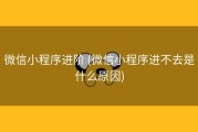 微信小程序进阶 (微信小程序进不去是什么原因)