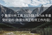 个 数据分析工具 2023 13 TikTok 年最受欢迎的 (数据分析工程师工作内容)