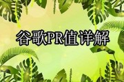 PR值是什么意思 (监护pr值是什么)