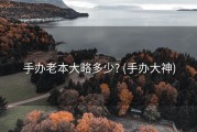 手办老本大略多少? (手办大神)