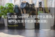 有什么危害 seo中的黑帽是什么意思 (有什么危害手机屏幕漏液换)