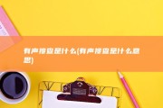 有声搜查是什么 (有声搜查是什么意思)