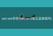seo seo手段 (seoseoo是正品袋鼠吗)