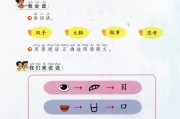 一年级有目共睹造句子 (一年级共有多少个)