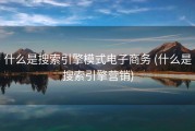 什么是搜索引擎模式电子商务 (什么是搜索引擎营销)